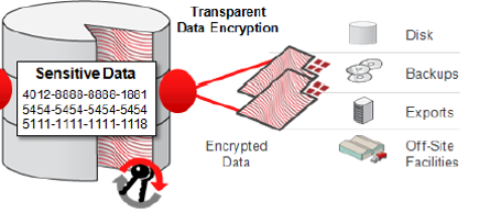 Trasparent data encryption